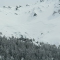 IMG 8545