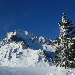 2008-12-31 Ski2008