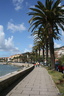 Corse avril 2008