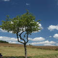 IMG 0885