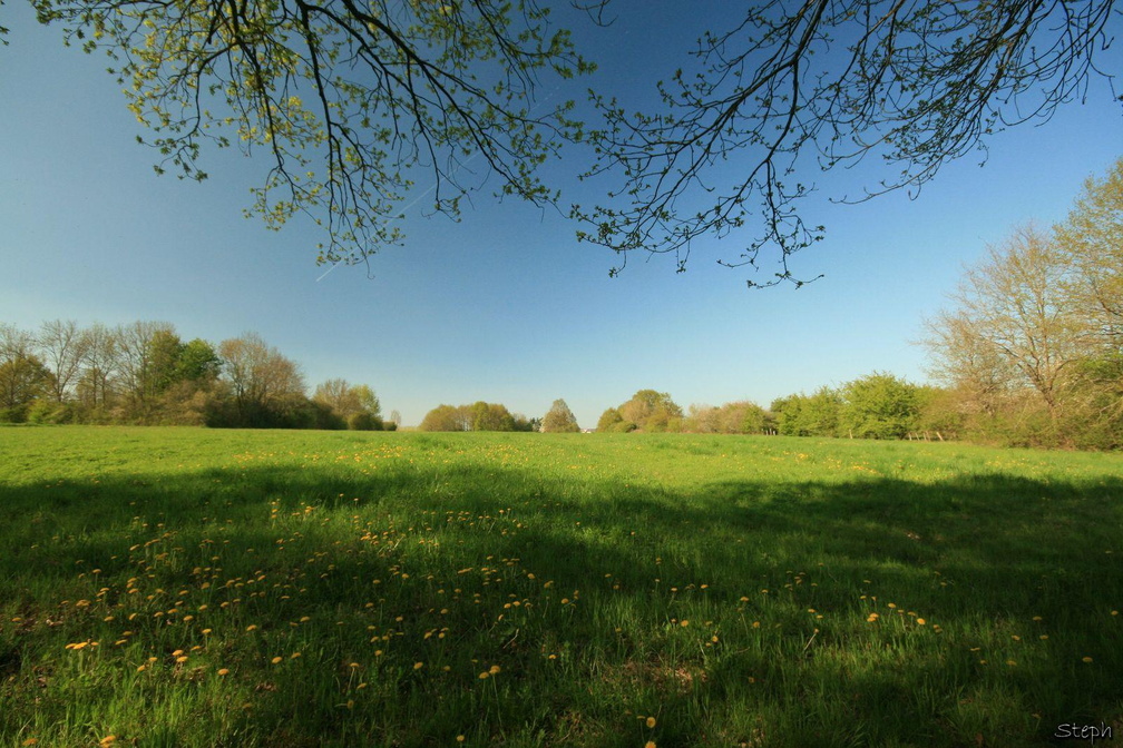 Pré  au printemps.