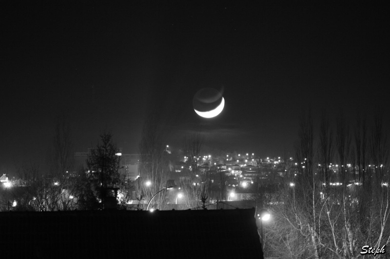 ... Petit montage, IMG_4178_m.jpg