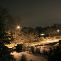 IMG 5920